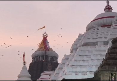 ଶ୍ରୀମନ୍ଦିର ଉପରେ ଉଡିଲା ଚିଲ