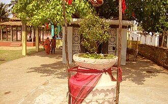 ବସୁନ୍ଧରା ଠେକି କ’ଣ?