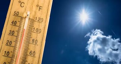 ବଢ଼ିଲାଣି ଖରା, ଅସ୍ତବ୍ୟସ୍ତ କରୁଛି ଗୁଳୁଗୁଳି