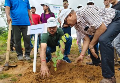 ବନ ମହୋତ୍ସବ ସପ୍ତାହ ଅବସରରେ ଟିପିଡବ୍ଲୁଓଡିଏଲ୍‌ ପକ୍ଷରୁ ପଶ୍ଚିମ ଓଡ଼ିଶାରେ ୪,୩୦୦ରୁ ଅଧିକ ବୃକ୍ଷରୋପଣ