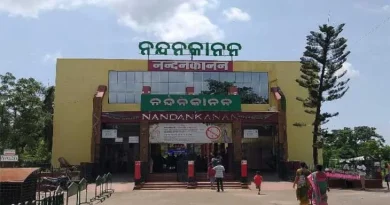 ନନ୍ଦନକାନନକୁ ଆସିବେ ମାର୍ସୁପିଆଲ୍ ରେଡ୍ କଙ୍ଗାରୁ