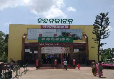 ନନ୍ଦନକାନନକୁ ଆସିବେ ମାର୍ସୁପିଆଲ୍ ରେଡ୍ କଙ୍ଗାରୁ