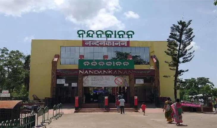 ନନ୍ଦନକାନନକୁ ଆସିବେ ମାର୍ସୁପିଆଲ୍ ରେଡ୍ କଙ୍ଗାରୁ