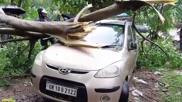କୋରାପୁଟରେ ଗଛ ପଡ଼ି ଭାଙ୍ଗିଲା କାର୍