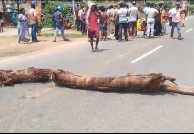 ଘରୋଇ ବସ ଧକ୍କାରେ ନାବାଳିକା ମୃତ, ରାସ୍ତାରୋକ କଲେ ଗ୍ରାମବାସୀ