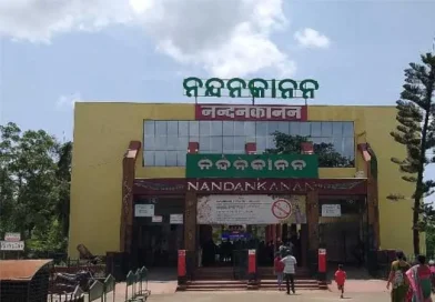 ନନ୍ଦନକାନନ ପ୍ରାଣୀ ଉଦ୍ୟାନରୁ ଆସିଛି ଖୁସି ଖବର
